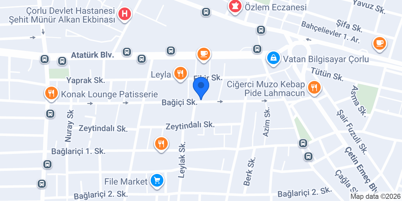 ATA SAHNE PERFORMANS konumu