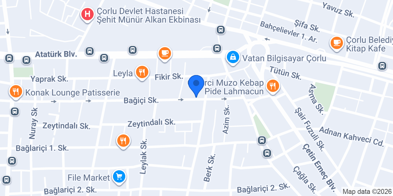 İKİLİ ELEKTRİK konumu