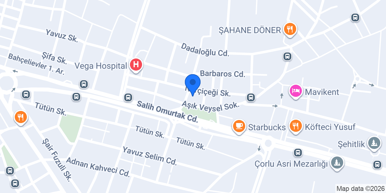 Vetopia Veteriner Kliniği Çorlu konumu