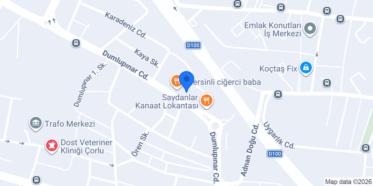 Elif Temizsu | Klinik Psikolog konumu