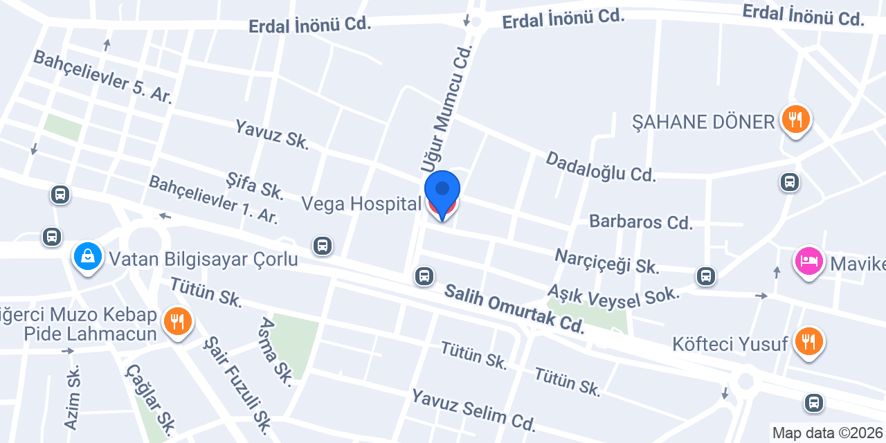 Vega Hospital konumu