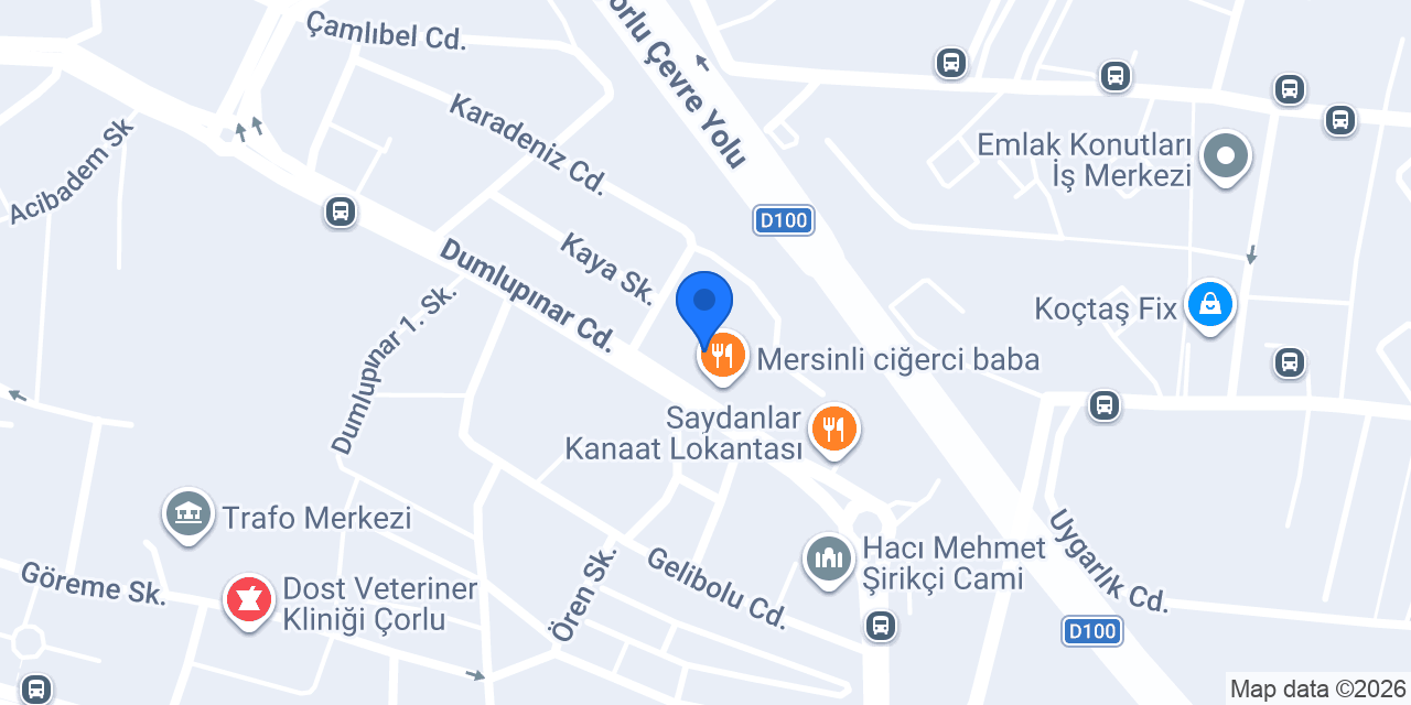 Domino's Pizza Çorlu Emlakkonut konumu