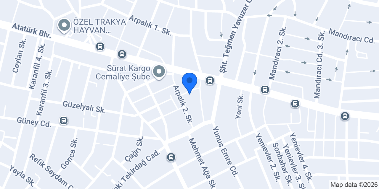 Estetika Çorlu | gergi tavan tadilat dekorasyon konumu