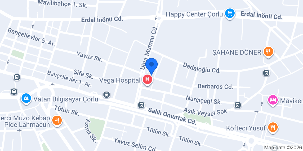Öncü Veteriner Kliniği - Çorlu konumu
