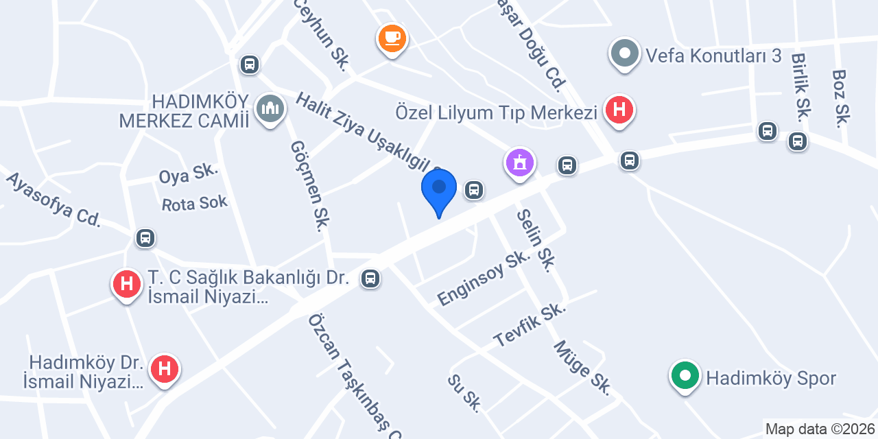 Hadımköy veteriner kliniği konumu