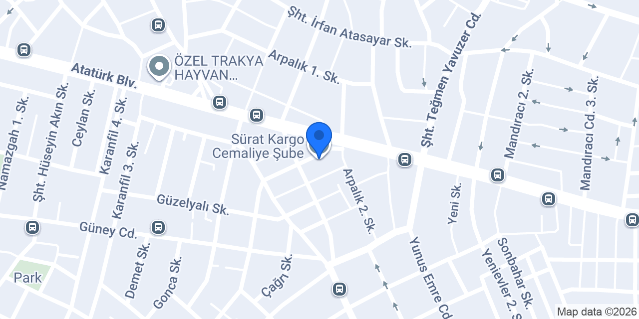 Sürat Kargo Cemaliye Şube konumu