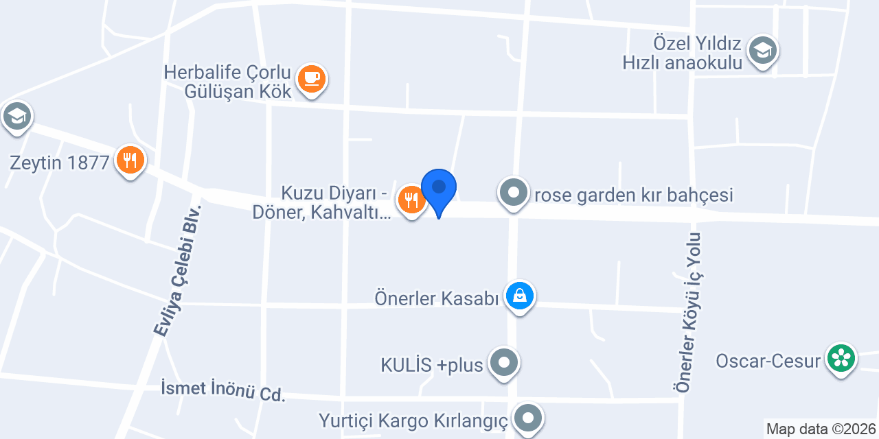 Çorlu çavuş oto lastik konumu