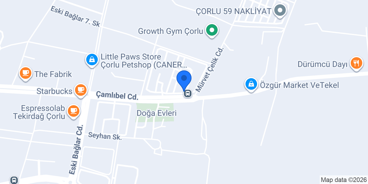 Tek Market konumu