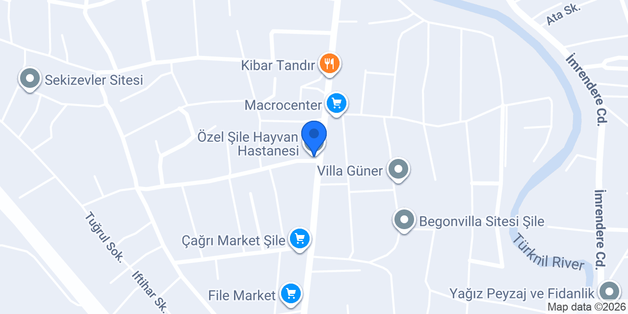 Özel Şile Hayvan Hastanesi konumu