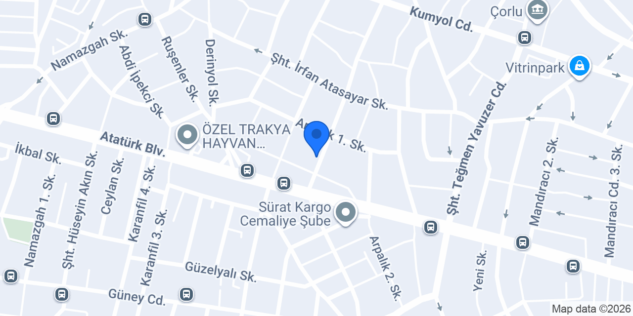 ERT ELEKTRİK konumu