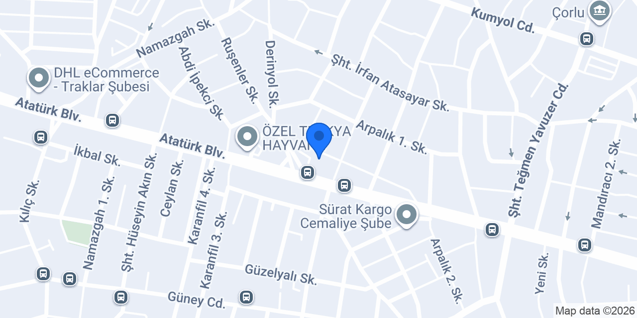 Ezgin kurutemizleme konumu