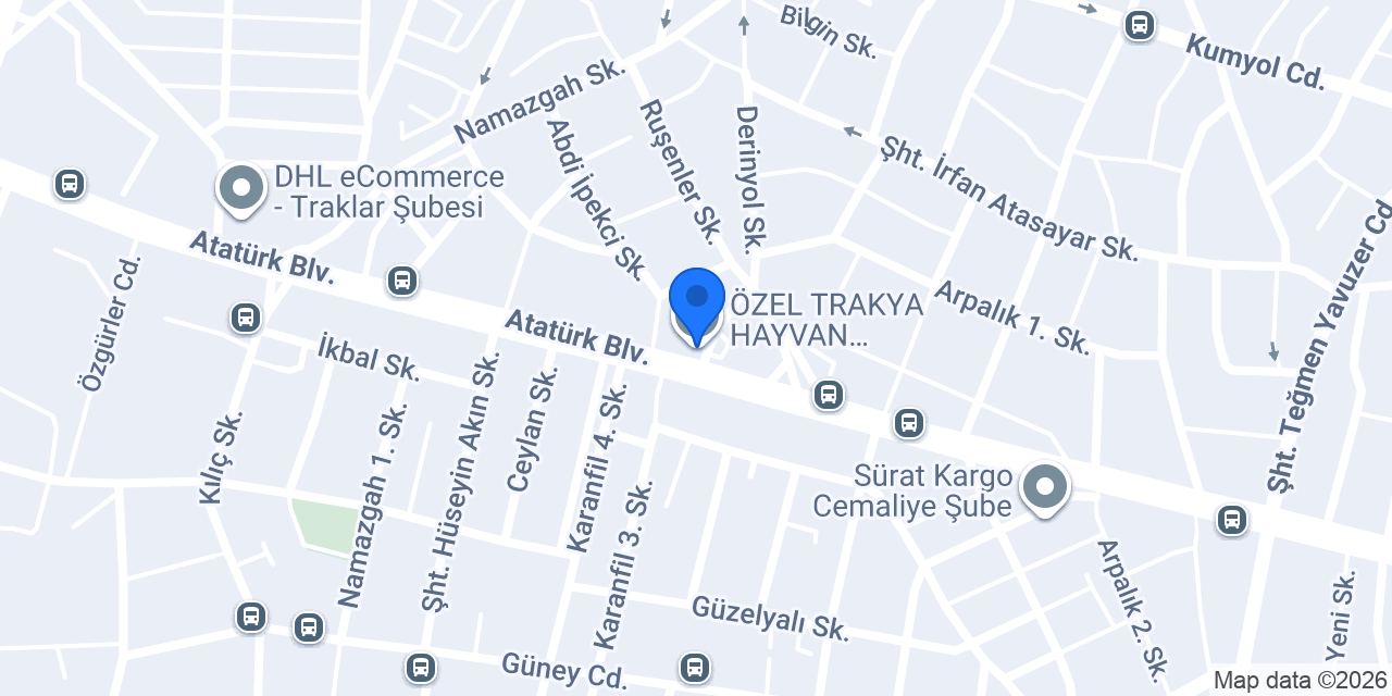 ÖZEL TRAKYA HAYVAN HASTANESİ (Veteriner Çorlu) konumu