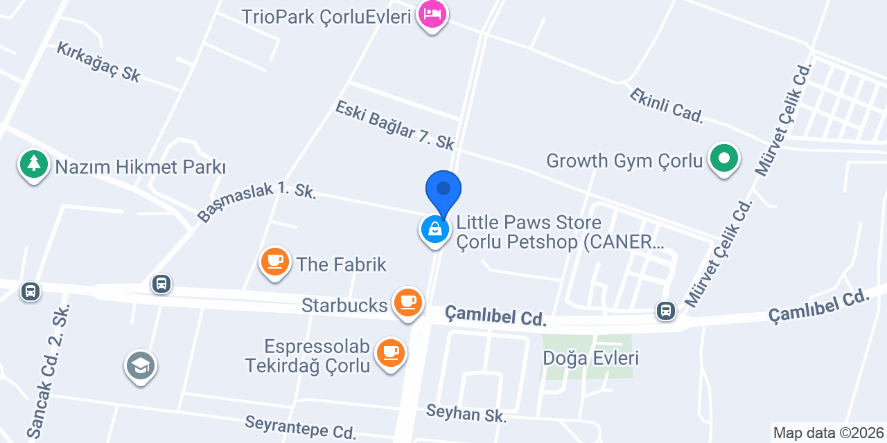 Koza Psikolojik Danışmanlık konumu