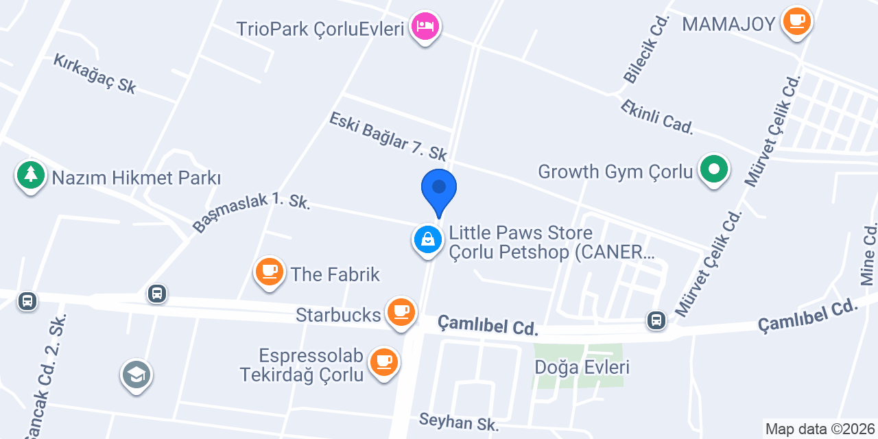 Odak Dil Kursu Çorlu konumu