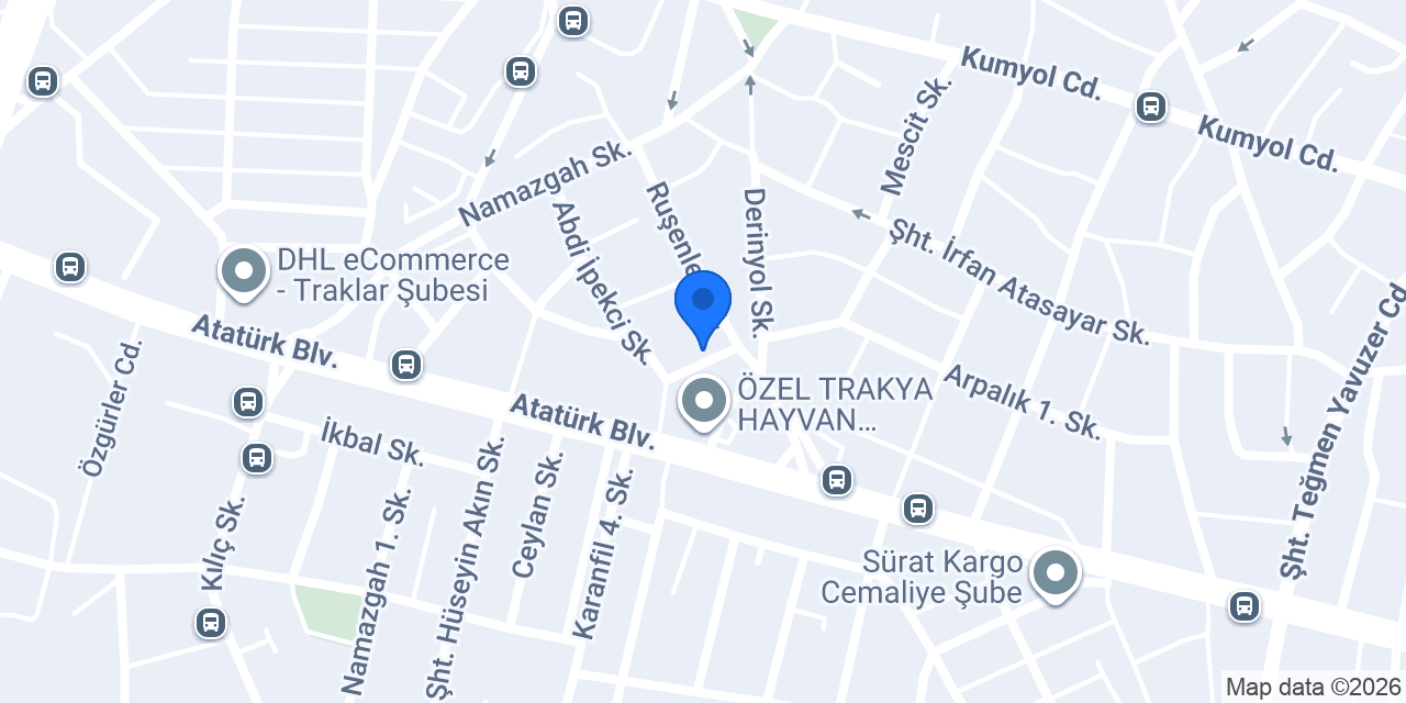 Domino's Pizza Çorlu Otogar konumu
