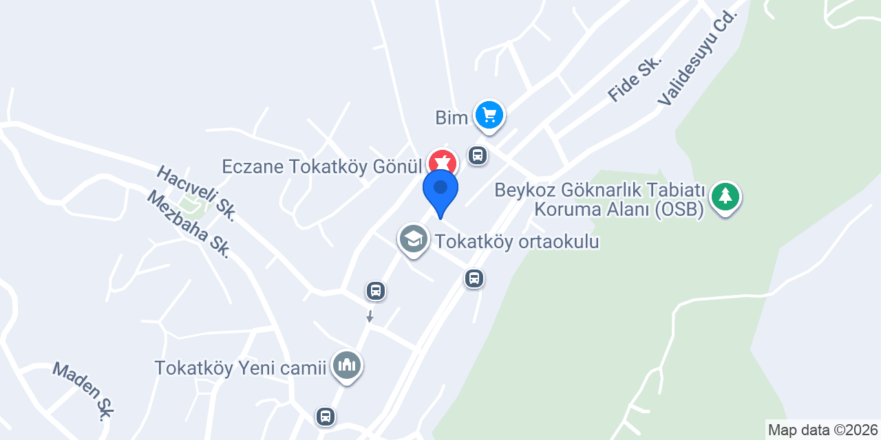Otelmete konumu