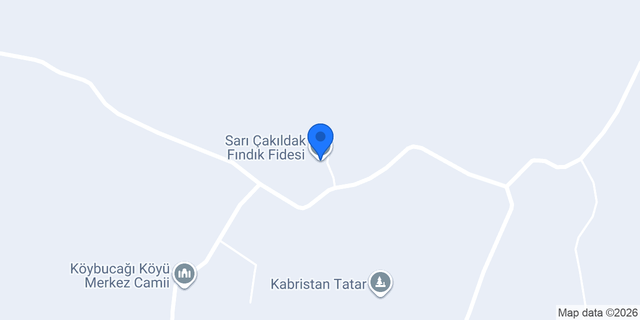 Sarı Çakıldak Fındık Fidesi konumu