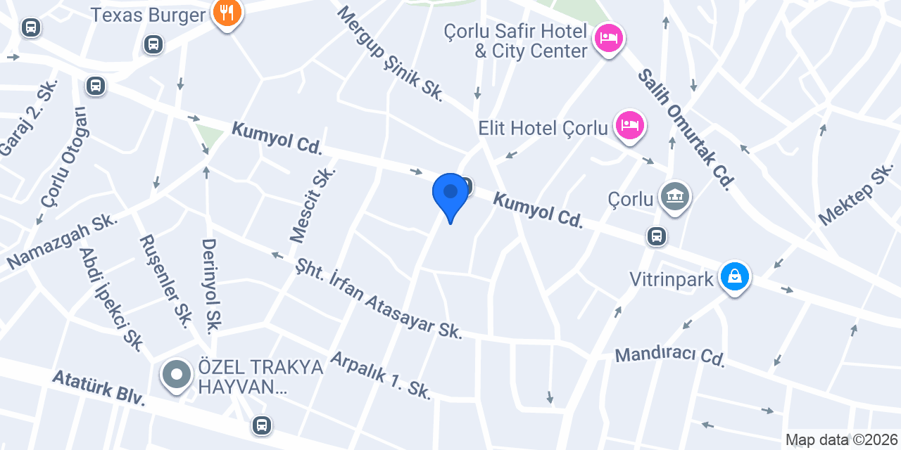 Özsan Motor konumu