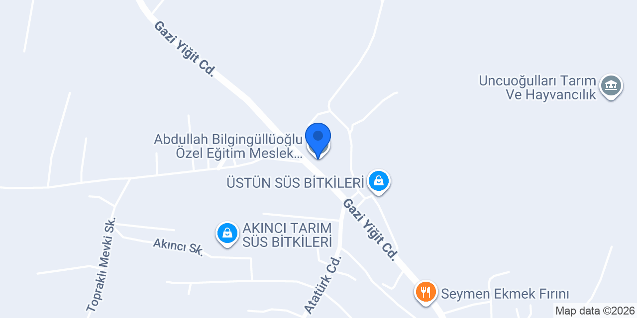 Abdullah Bilgingüllüoğlu Özel Eğitim Meslek Okulu konumu
