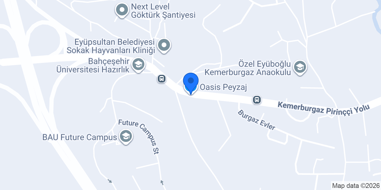 Oasis Peyzaj konumu