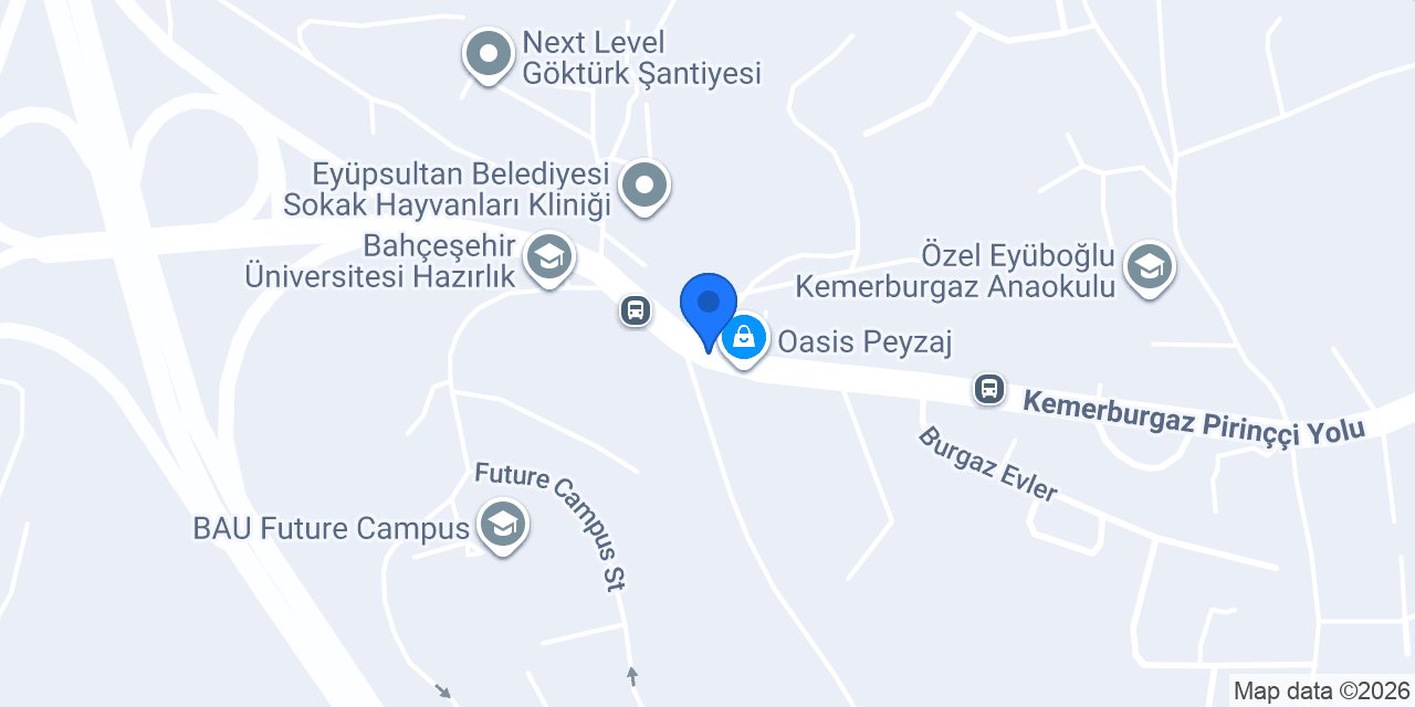 Istanbul BHSSciTech konumu