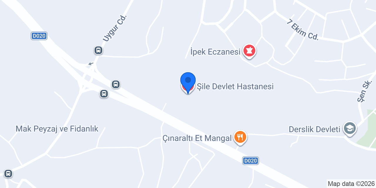 Şile Devlet Hastanesi konumu