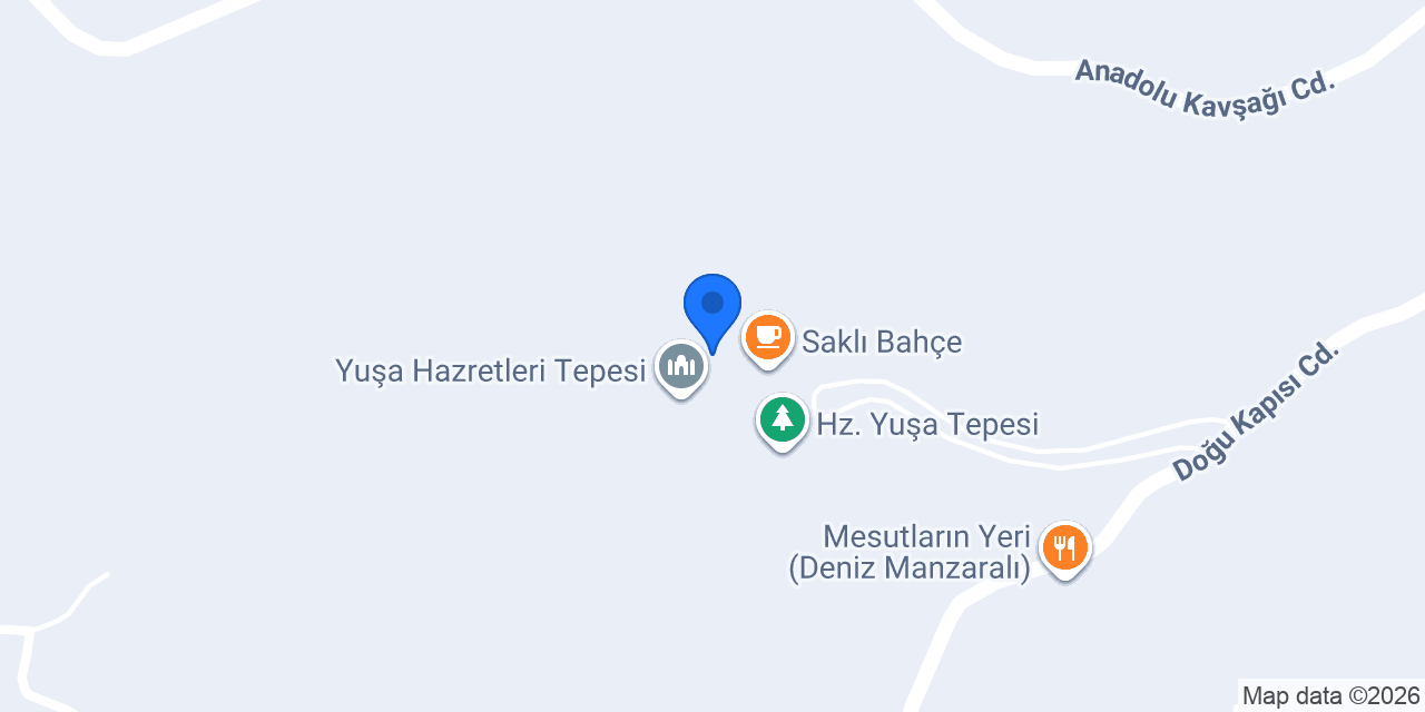 Sokak hayvanları konumu