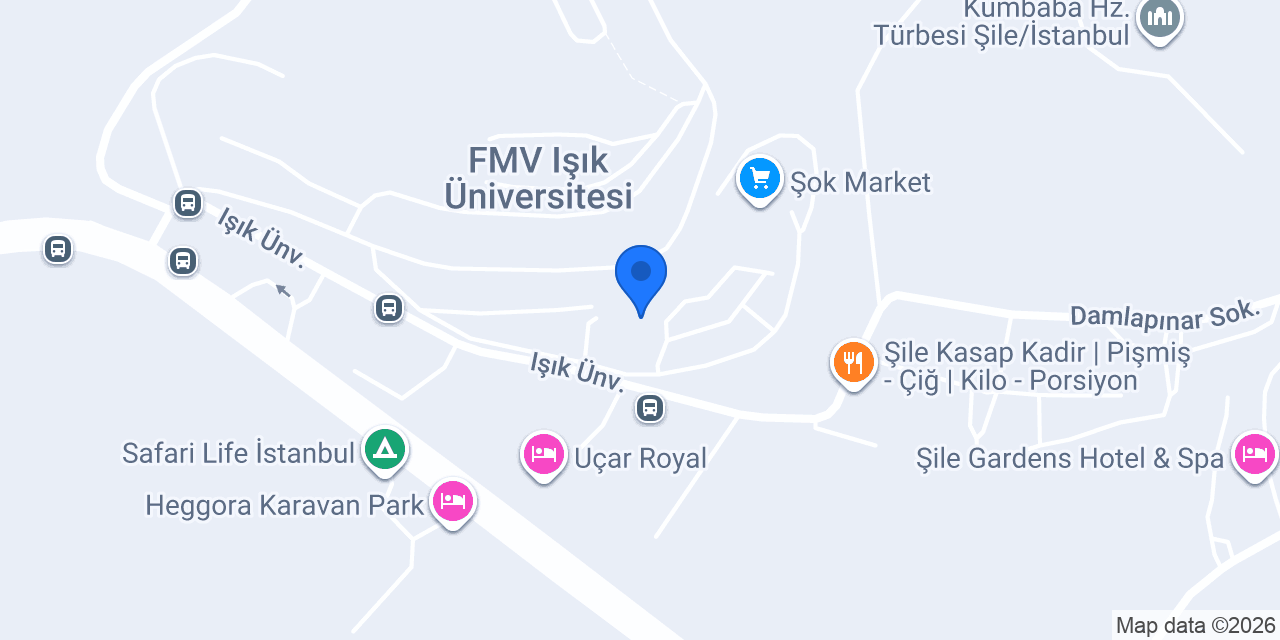 School of Foreign Languages (SFL) konumu