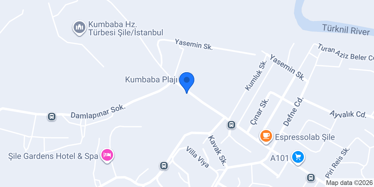 Sakarya Orman Ürünleri konumu