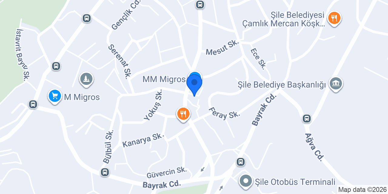 MoneyGram konumu
