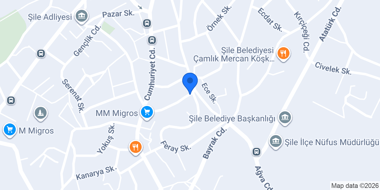 DHL eCommerce - Şile Şubesi konumu