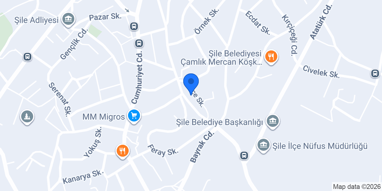 Fizyonağme konumu