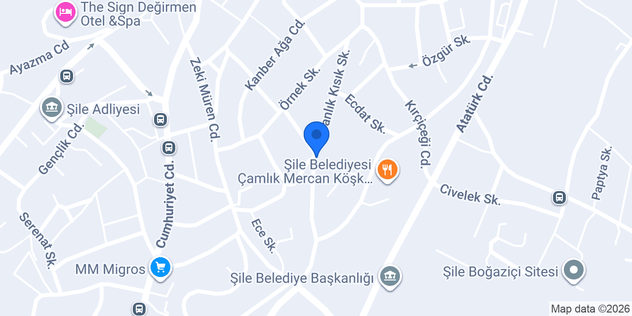 Altay Cevizi Şube konumu