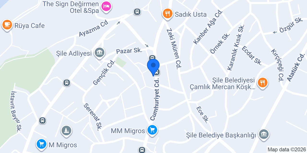 Pizzabulls Şile konumu