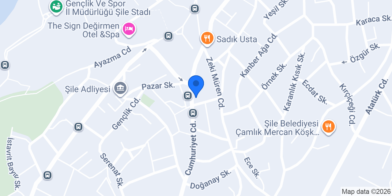 ŞİLE ELEKTİRİK ELEKTRONİK konumu