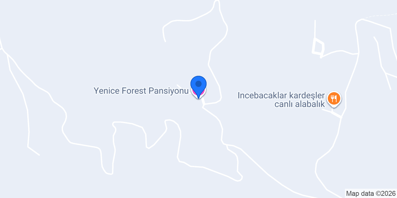 Yenice Forest Pansiyonu konumu