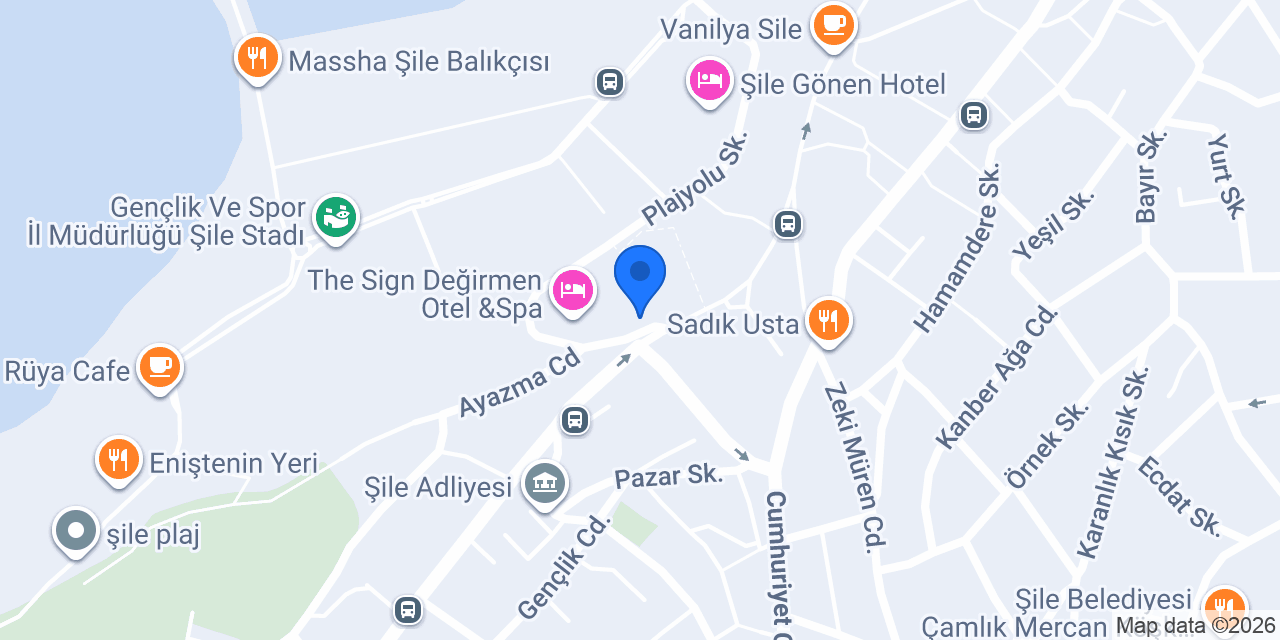 Şok konumu