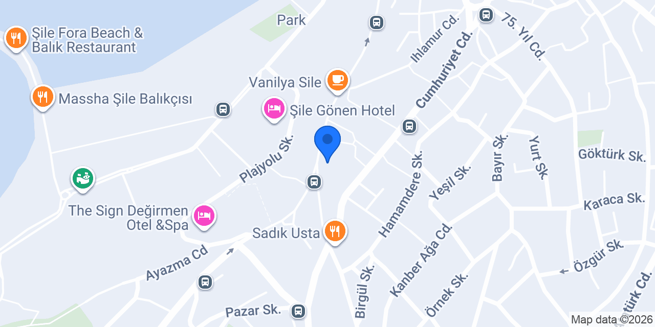 Ata Gıda Market konumu
