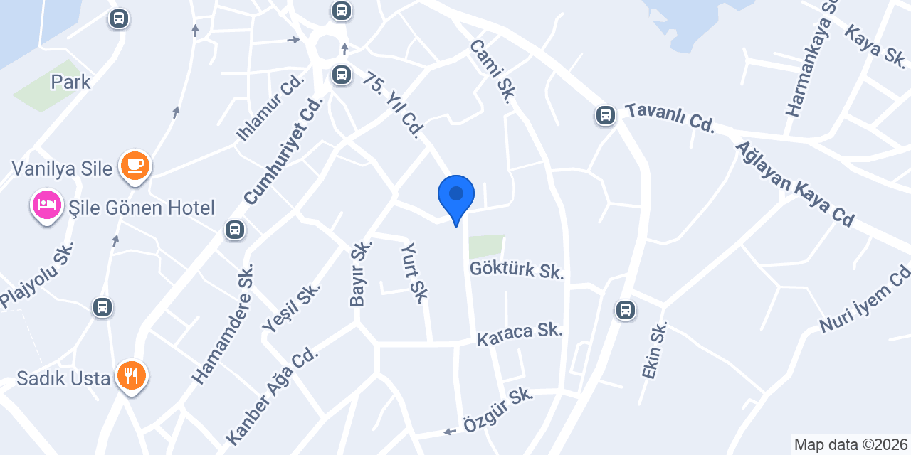 Şile Çiçek Evi konumu