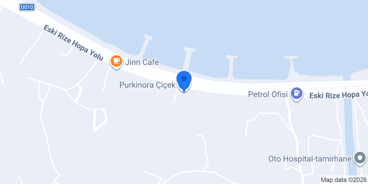 Purkinora Çiçek konumu