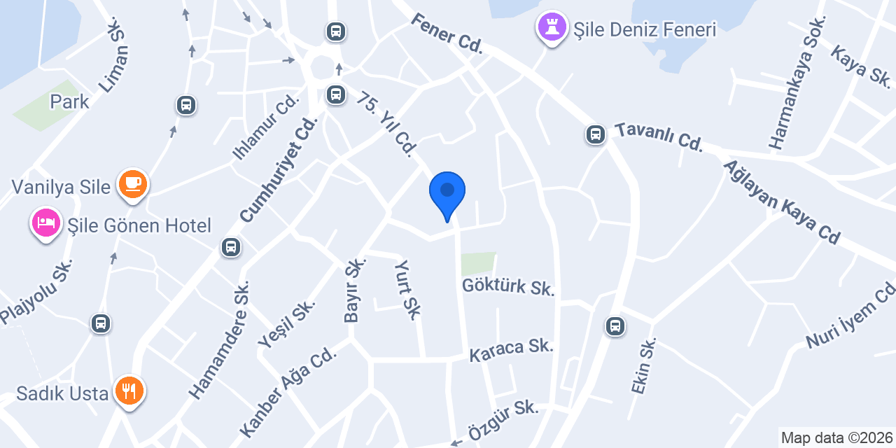 TT Digital Yazılım Ve Web Tasarım konumu