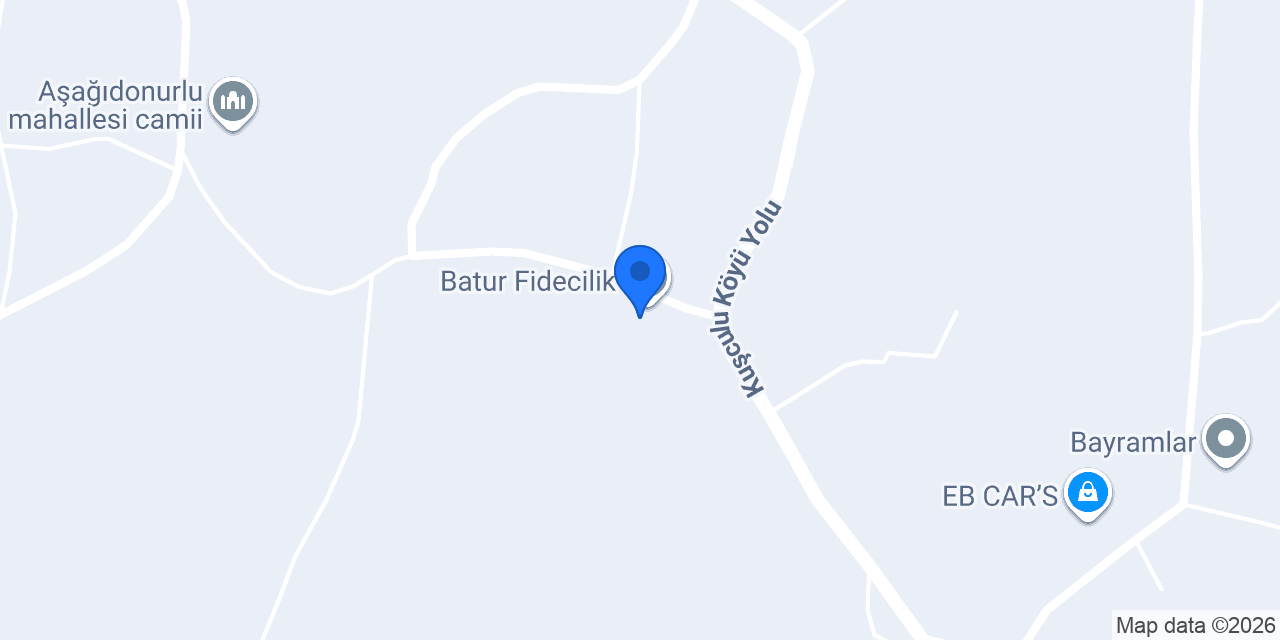 Batur Fidecilik konumu
