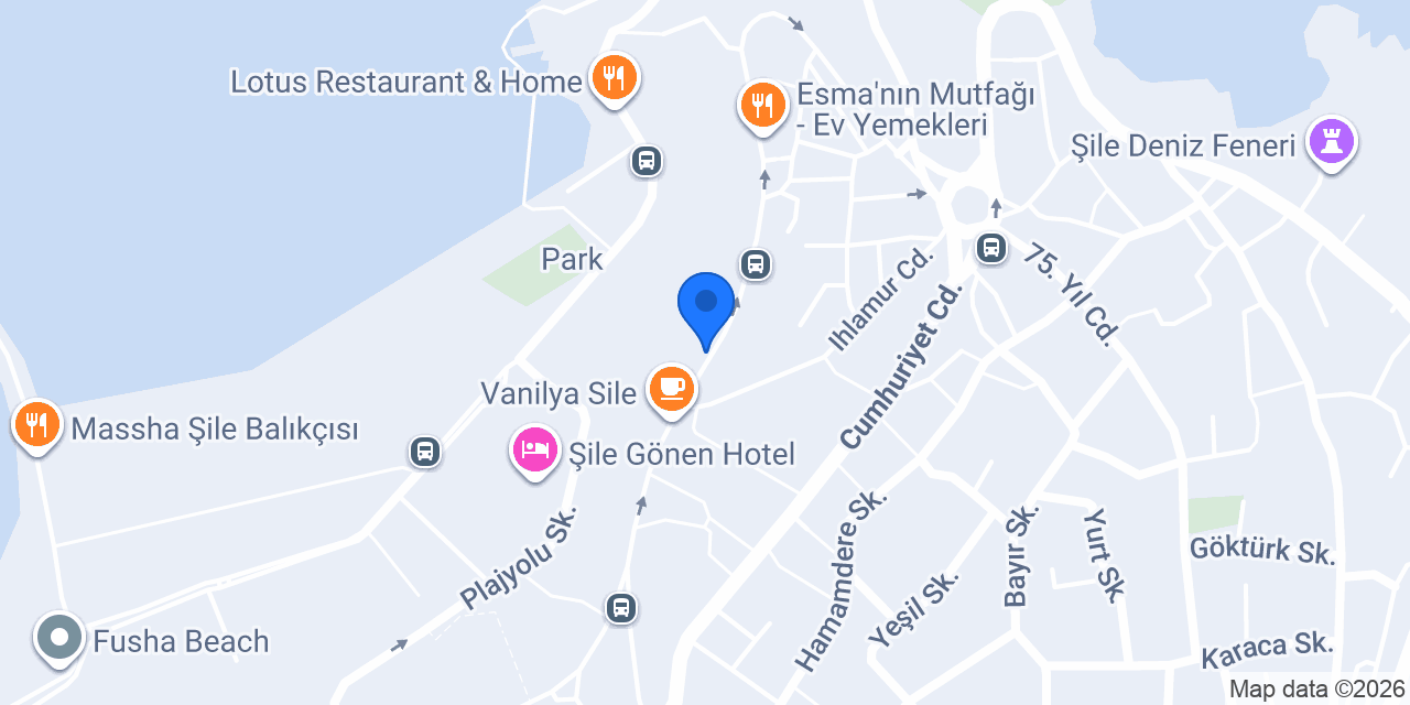 ÖZ ŞILE TEKSTIL konumu