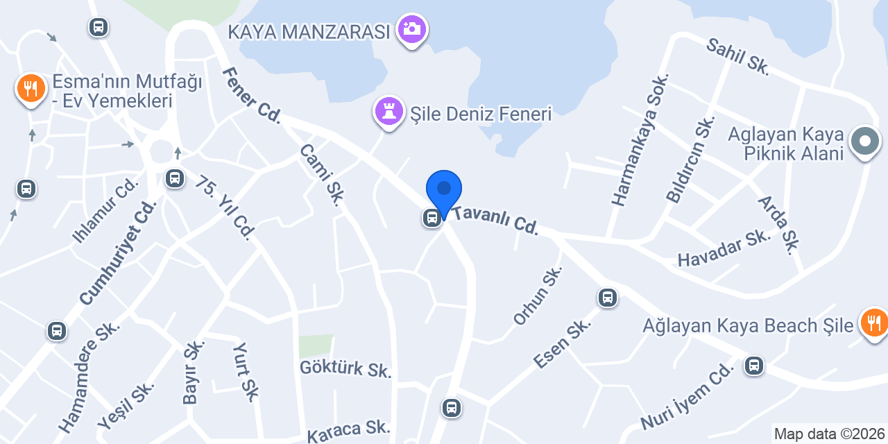 Eşkina Balık Taşı konumu