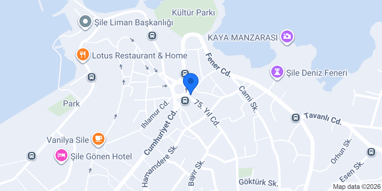 Sibel Şut Mimarlık konumu