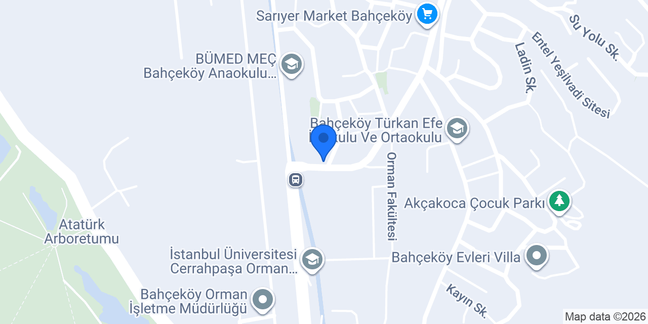 Ceviz Ev Yapımı | Bahçeköy konumu