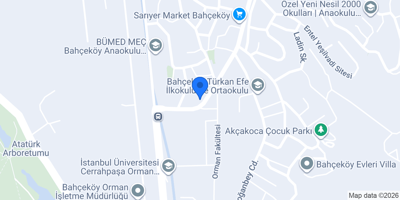 Ela Mekanik konumu