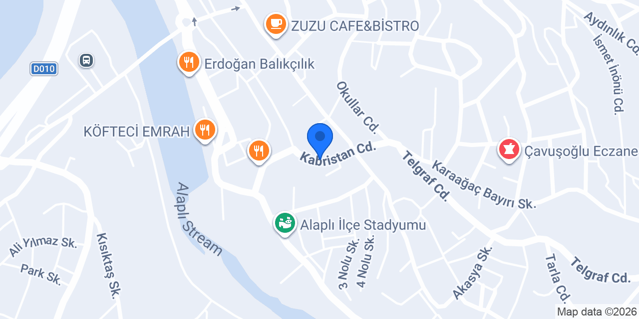 Aras Kargo Alaplı Şubesi konumu