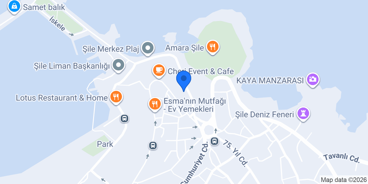 HEMDEM Kanat & Et & Meze konumu