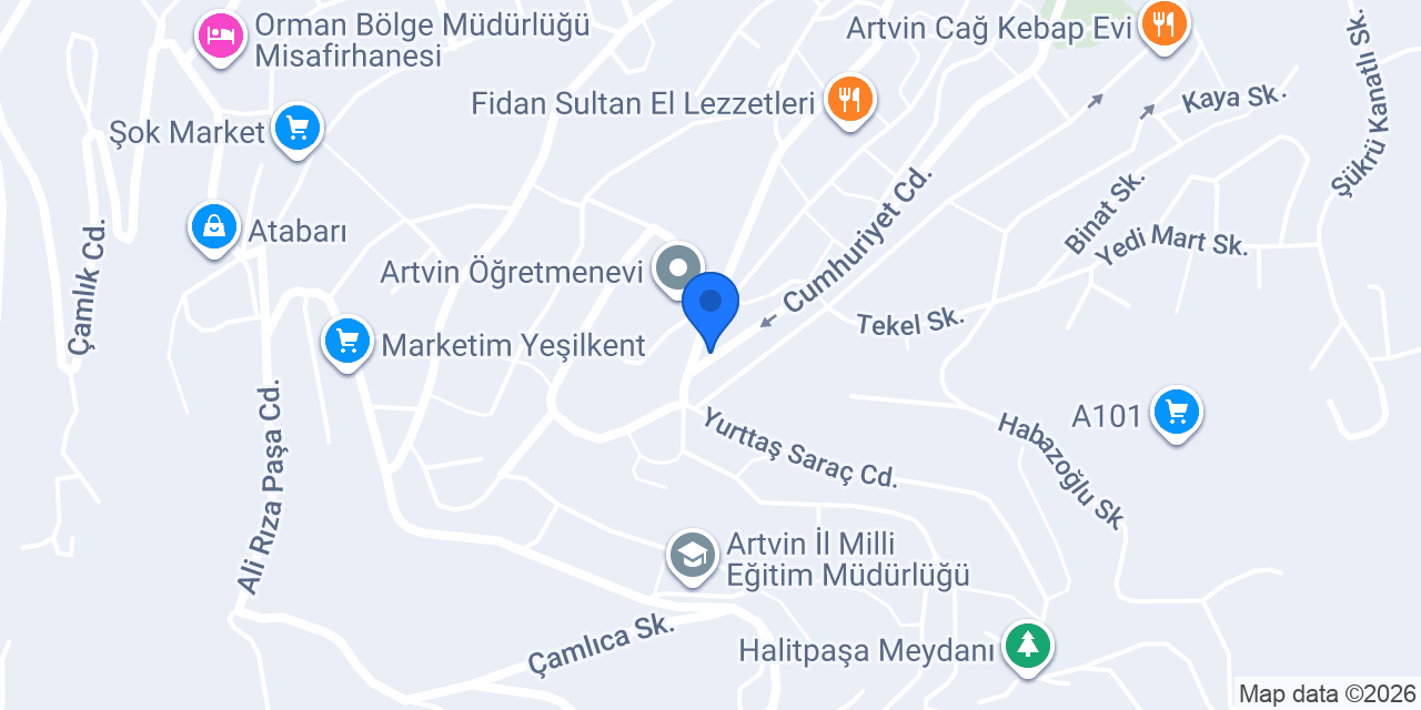express tavuk kafe restaurant konumu